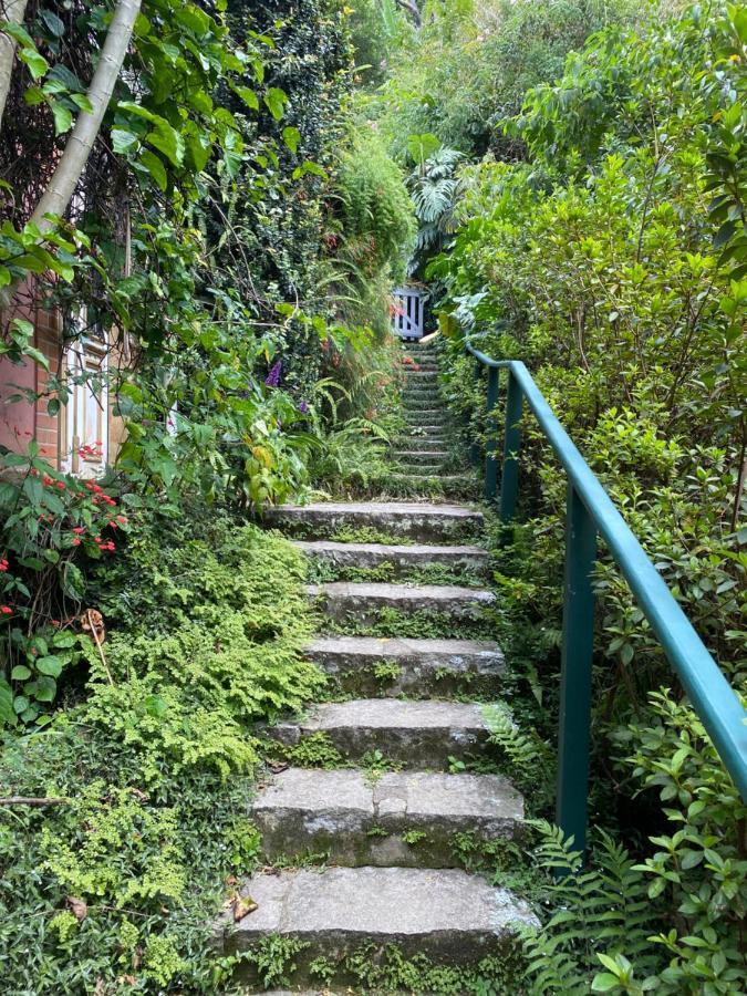 Villa Violeta Petrópolis Εξωτερικό φωτογραφία
