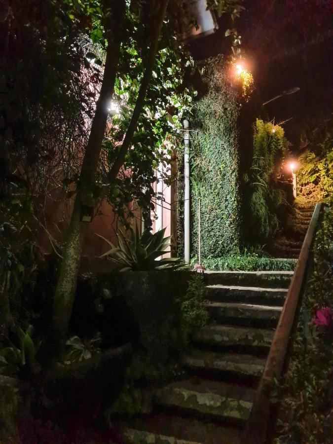 Villa Violeta Petrópolis Εξωτερικό φωτογραφία