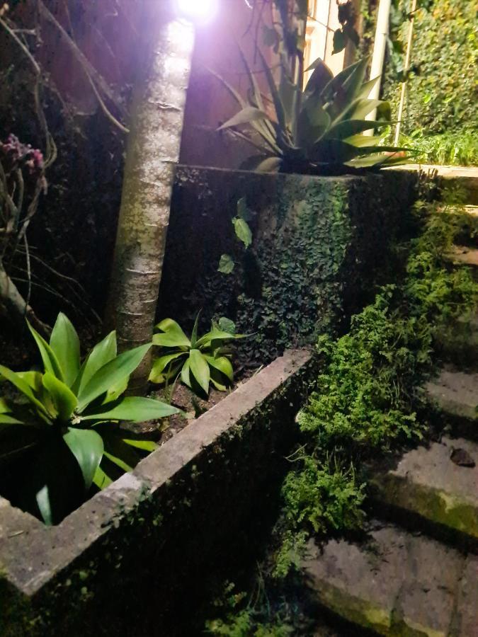 Villa Violeta Petrópolis Εξωτερικό φωτογραφία