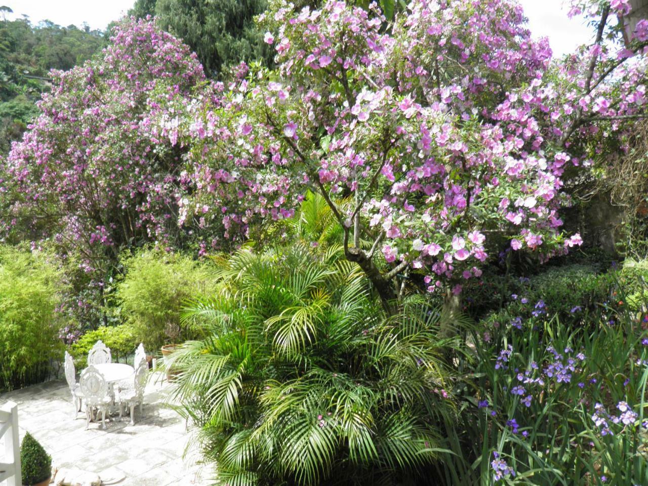 Villa Violeta Petrópolis Εξωτερικό φωτογραφία